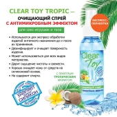 Очищающий спрей для игрушек CLEAR TOY Tropic - 100 мл. - Биоритм - купить с доставкой в Красноярске
