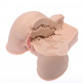 Мастурбатор-полуторс Naked Factory Kate - Naked Factory - в Красноярске купить с доставкой