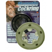 Эрекционное кольцо с магнитиками - Seven Creations - в Красноярске купить с доставкой