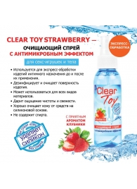 Очищающий спрей для игрушек CLEAR TOY Strawberry - 100 мл. - Биоритм - купить с доставкой в Красноярске