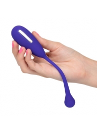 Фиолетовый шарик с электростимуляцией и вибрацией Intimate E-Stimulator Remote Kegel Exerciser - California Exotic Novelties - купить с доставкой в Красноярске