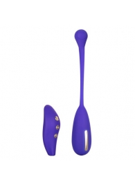 Фиолетовый шарик с электростимуляцией и вибрацией Intimate E-Stimulator Remote Kegel Exerciser - California Exotic Novelties - купить с доставкой в Красноярске