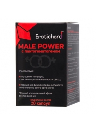 Капсулы для мужчин Erotichard male power с пантогематогеном - 20 капсул (0,370 гр.) - Erotic Hard - купить с доставкой в Красноярске