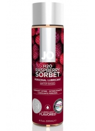 Лубрикант на водной основе с ароматом малины JO Flavored Raspberry Sorbet - 120 мл. - System JO - купить с доставкой в Красноярске