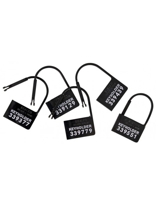 Набор для мужского пояса верности Cock Cage Set - Orion - купить с доставкой в Красноярске