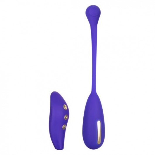 Фиолетовый шарик с электростимуляцией и вибрацией Intimate E-Stimulator Remote Kegel Exerciser - California Exotic Novelties - купить с доставкой в Красноярске