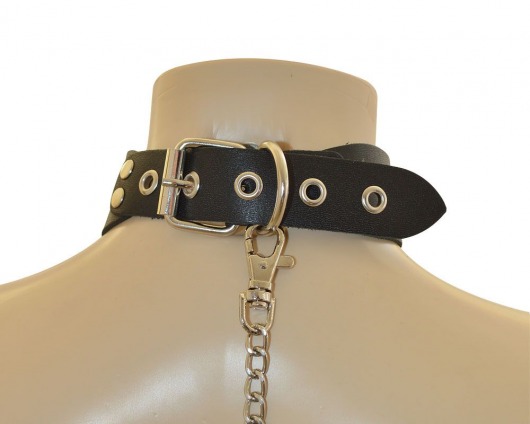 Ошейник  Веселый Роджер - Sitabella - купить с доставкой в Красноярске