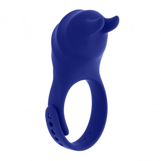 Синее эрекционное виброкольцо с клиторальной подушечкой и пультом ДУ Adjustable Fun Ring - Zero Tolerance - в Красноярске купить с доставкой