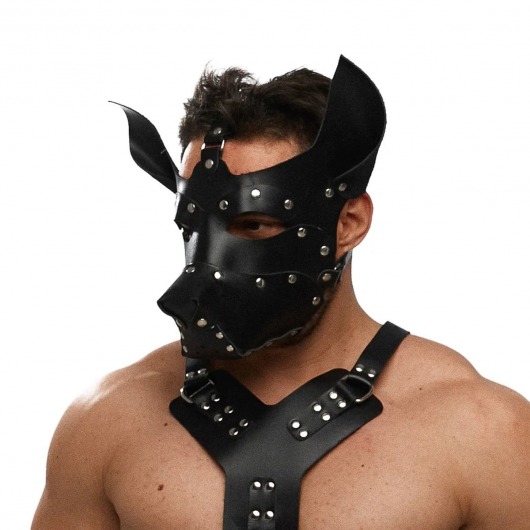 Черная кожаная маска «Собака» - Crazy Handmade - купить с доставкой в Красноярске Черная кожаная маска «Собака» - Crazy Handmade - купить с доставкой в Красноярске