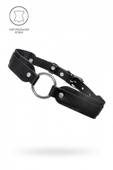 Черный кожаный чокер-ошейник со скруглёнными углами - Pecado - купить с доставкой в Красноярске