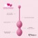 Набор из 3 розовых вагинальных шариков FemmeFit Advanced Pelvic Muscle Training Set - FeelzToys в Красноярске Набор из 3 розовых вагинальных шариков FemmeFit Advanced Pelvic Muscle Training Set - FeelzToys